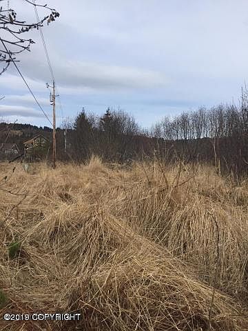 2nd image of 3659 Forest Glen Dr