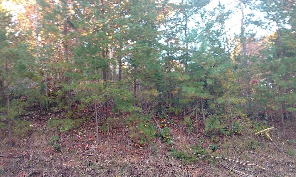 2nd image of 100 Cliff Branch Rd Lot 100