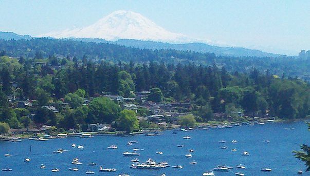 Mt Rainer