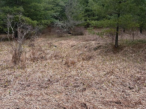 5th image of 378 Gregory Road