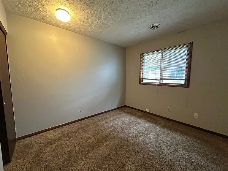 2423 Buttonwood Dr — Photo 12