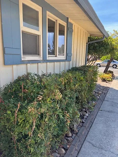 3 bed, 992 sqft, $1,950 — Photo 3