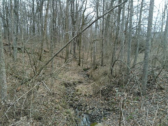 4th image of 3234 Sugar Creek Pike #5