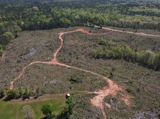 0 Flat Shoals Church Rd TRACT 2, West Pt, GA 31833