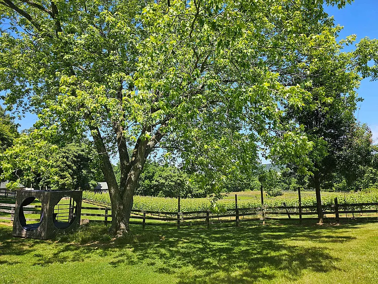 Sagle Rd — Photo 118