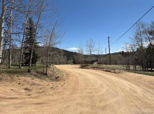 24 Timbertop Rd, Bailey, CO 80421