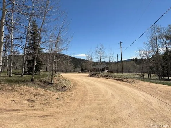 24 Timbertop Road, Bailey, CO 80421