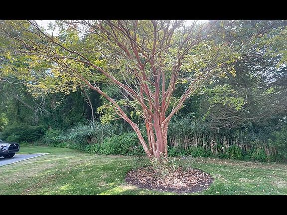 5th image of 12346 Old Bridge Rd Lot 176