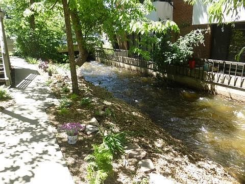 Creek at the front door