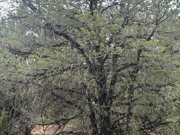 33 N3317, Vernon, AZ 85940