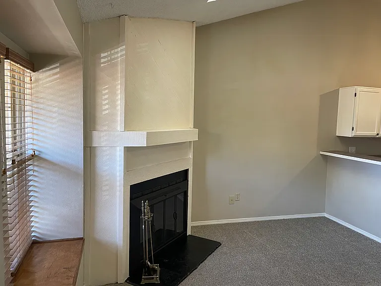 Wood burning fireplace