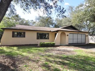 1173 Hallcrest Ave, Spring Hill, FL 34608