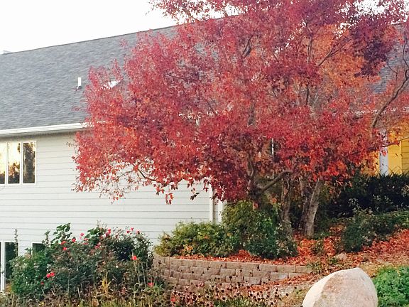 4th image of 9240 Holdrege St