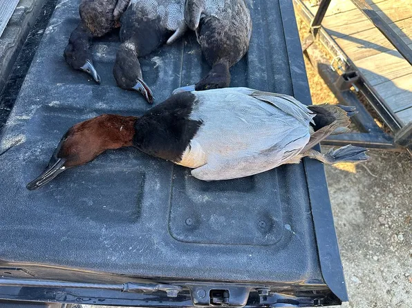 Sam Ganaway Rd, Trenton, TN 38382