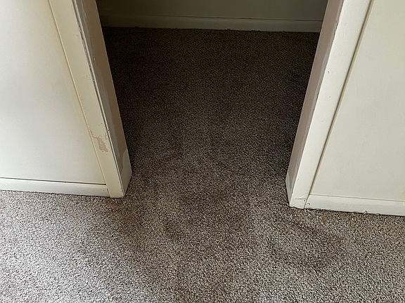 5th image of 119 W Walnut St #3