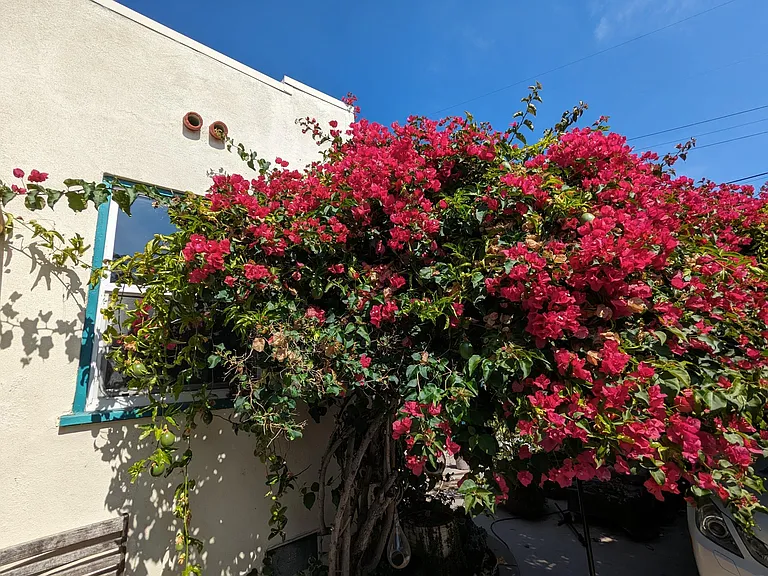 3827 Madison Ave — Photo 10