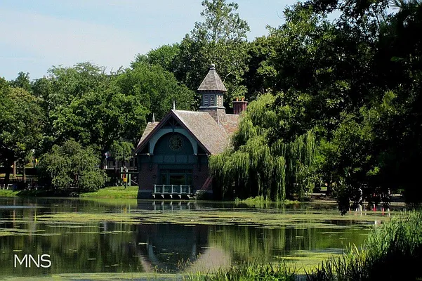 Sold by MNS | media 17