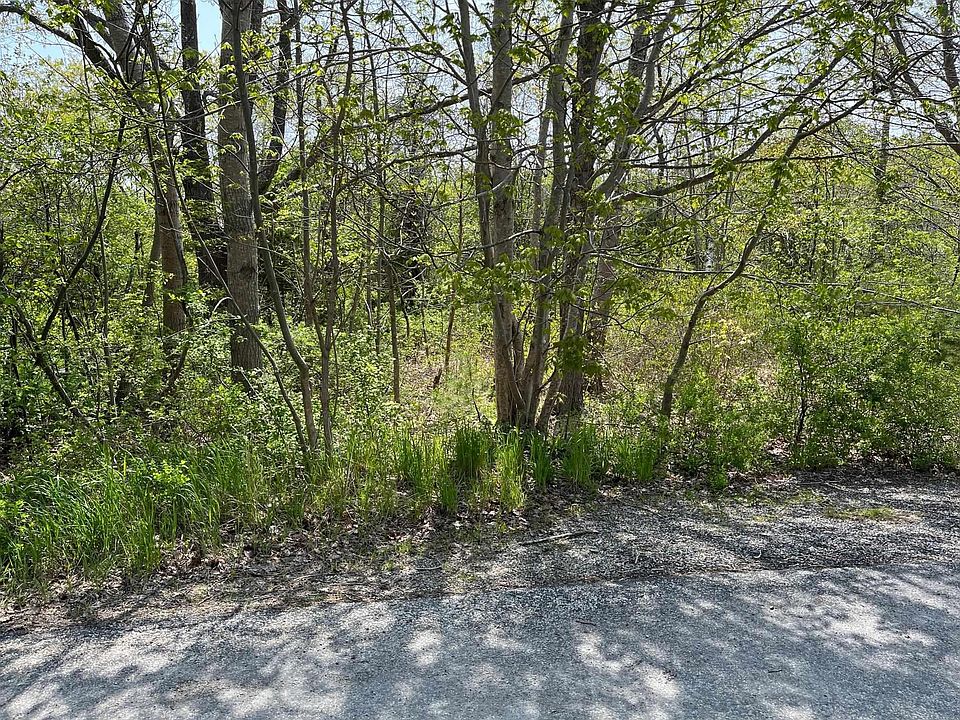 2nd image of 31 Franks Ln
