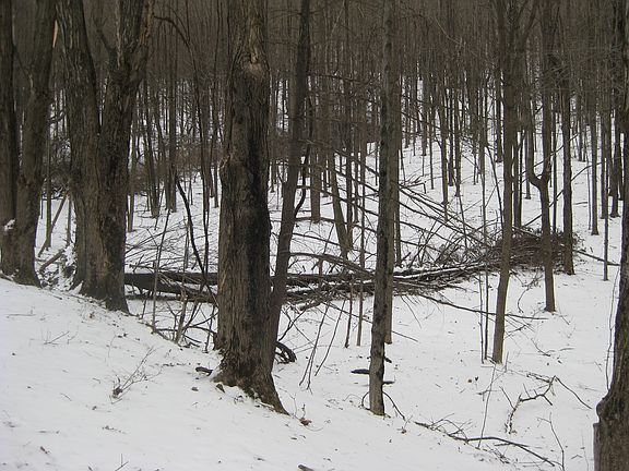 View from the Road