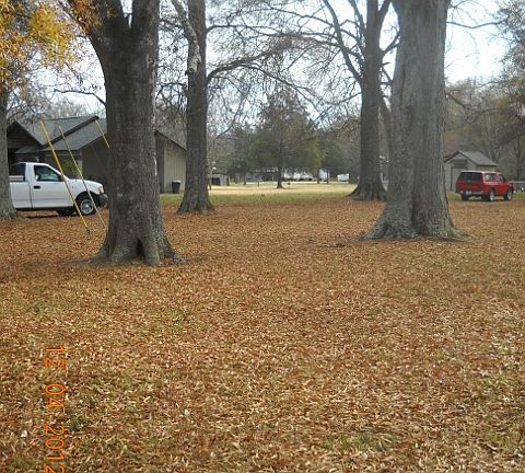 Owner Financing Avail.