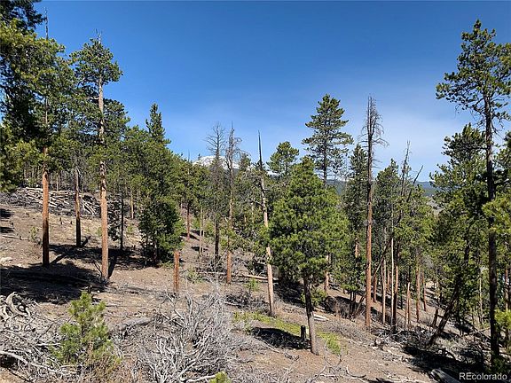 5th image of 1319 Sequoia Dr