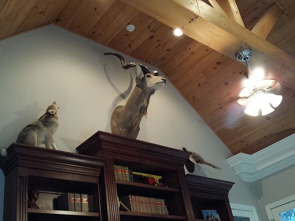 Vaulted wood ceiling office