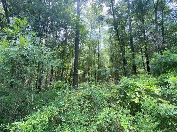 0 NW 29th Blvd, Jennings, FL 32053