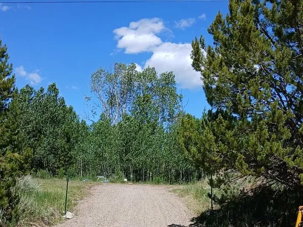 33130 Ramuda Trail, Oak Creek, CO 80467