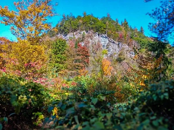 00 Churchville Road, Hancock, VT 05748