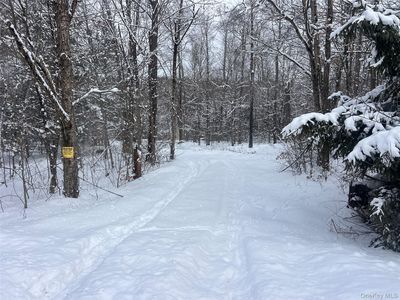 Methol Road, Hancock, NY, 13783