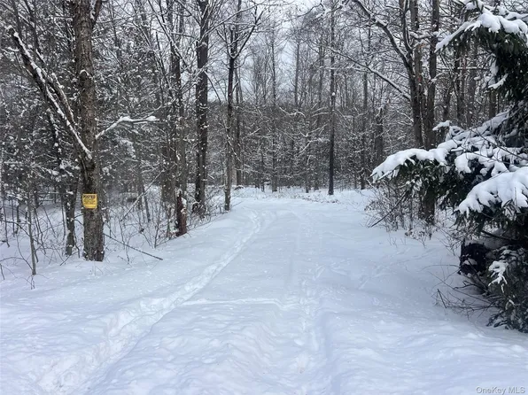 Methol Road, Hancock, NY 13783
