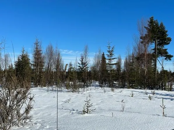 TRACT-42C Pepper Rd, Anchor Pt, AK 99556