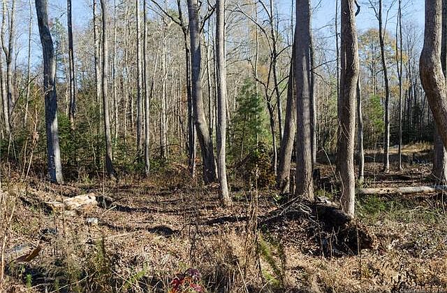 2nd image of 1207 Cabin Creek Ct #86
