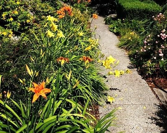 Walkway to the lake