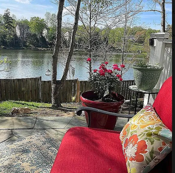 5220 Painted Turtle Way — Photo 14