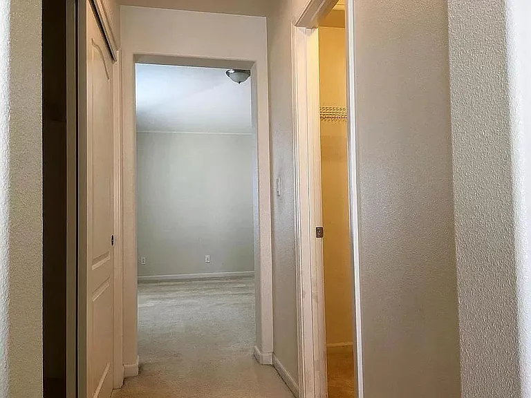 master cabinet & closet