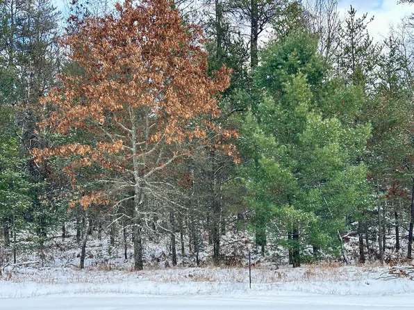 11220 Joyce Kilmer Rd, Roscommon, MI 48653