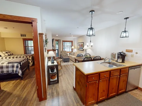 6175 Snowshoe Dr #161, Slatyfork, WV 26291