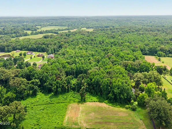 6501 Church Rd, Walls, MS 38680