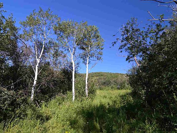 5th image of 29750 County Road 179