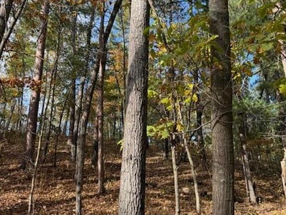 5th image of 1380 Little John Rd