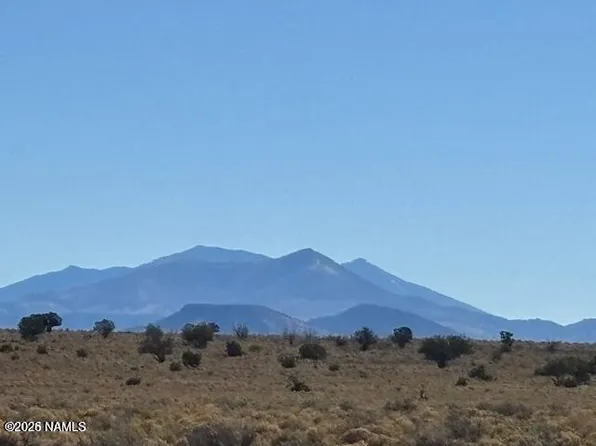 6687 S Prairie Grass Ln, Williams, AZ 86046