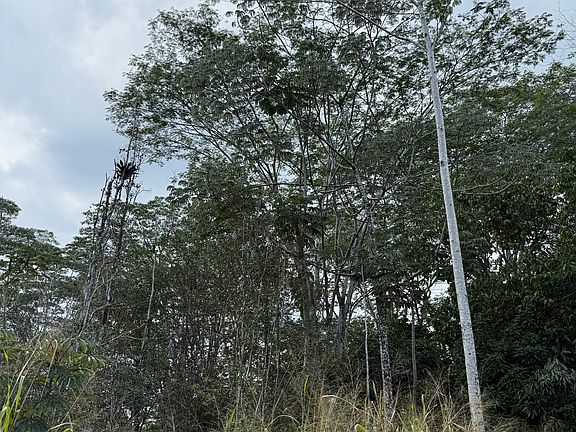 5th image of Sandalwood Ct Lot 22