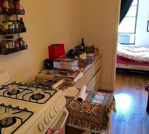 3rd image of 153 Avenue C APT 4fn