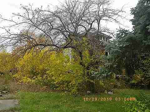 1766 W Grand Blvd