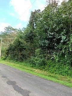 2nd image of 23rd Ave Lot 1108