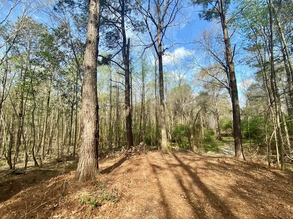 0 County Road 2288, Glenwood, AL 36034
