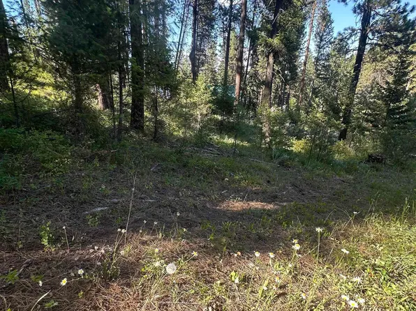 Terrace Lakes #5-lot 10, Garden Valley, ID 83622