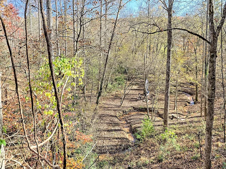 View of the back yard from the balcony