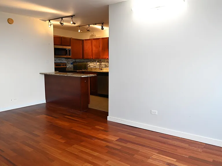 655 W Irving Park Rd #5212 — Photo 2